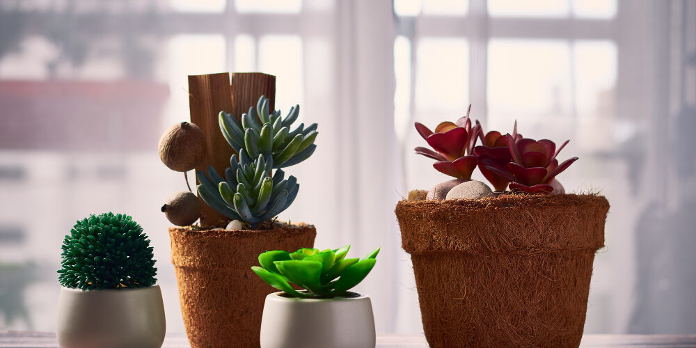 Guide to Choosing the Perfect Container for Your Plants