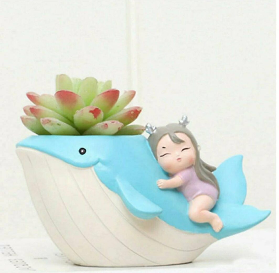 pots, planter, dolphin cute girl,