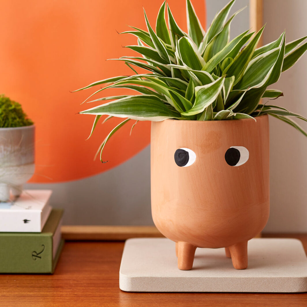 Ceramic Little Leggy Planter Set - Image 2