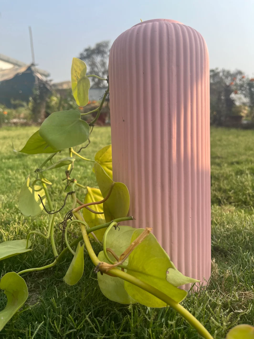Pink Ribbed Ceramic Vase-Tall - Image 3